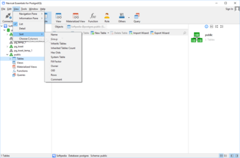 Navicat Essentials for PostgreSQL screenshot 3