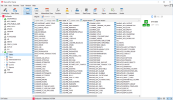 Navicat for Oracle screenshot