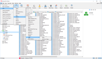 Navicat for Oracle screenshot 2