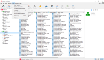 Navicat for Oracle screenshot 4