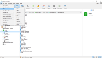 Navicat Premium screenshot 2
