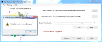 NCABlackstar ConvMatrix FLV Converter screenshot 2