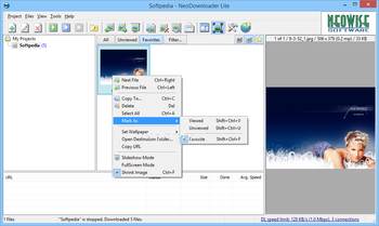 NeoDownloader Lite screenshot 2