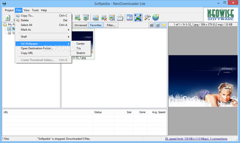 NeoDownloader Lite screenshot 6