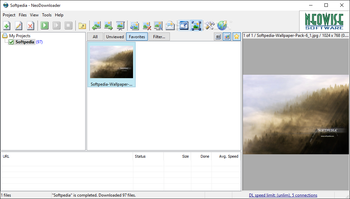 NeoDownloader screenshot
