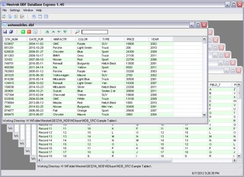 Neotrek DBF Database Express screenshot 2
