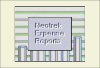 Neotrek Expense Reports screenshot