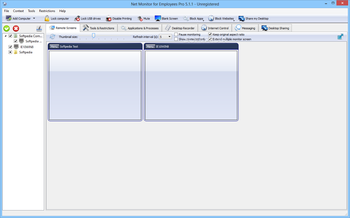 Net Monitor for Employees Pro screenshot