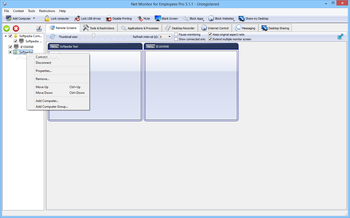Net Monitor for Employees Pro screenshot 2
