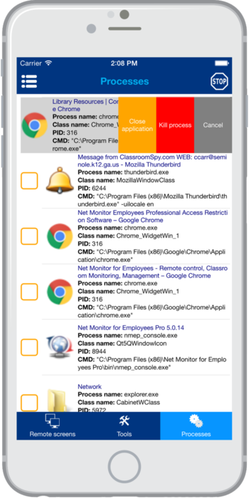 Net Monitor for Employees Professional screenshot 8