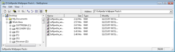 NetExplorer screenshot