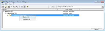 NetExplorer screenshot 2