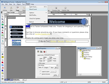 NetObjects Fusion Essentials screenshot 4