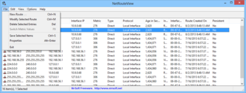 NetRouteView screenshot 2
