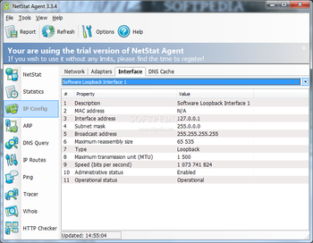 NetStat Agent screenshot 10