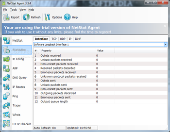 NetStat Agent screenshot 3