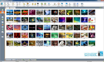 NetSupport School screenshot 2