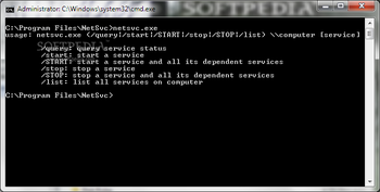 NetSvc screenshot