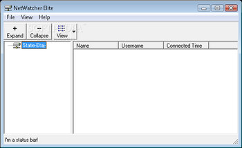 Netwatcher Elite screenshot