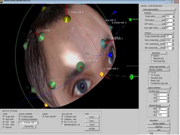 Neural activity simulator screenshot