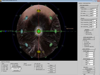Neural activity simulator screenshot 2