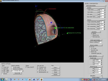 Neural activity simulator screenshot 4