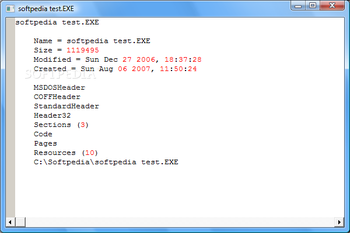 Neuron PE Disassembler screenshot 5