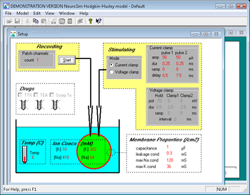 NeuroSim screenshot