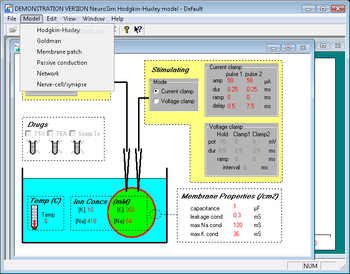 NeuroSim screenshot 2