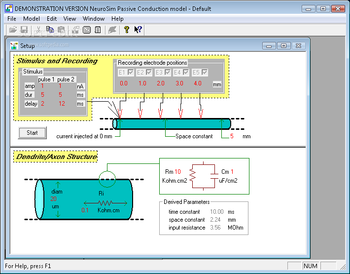 NeuroSim screenshot 4