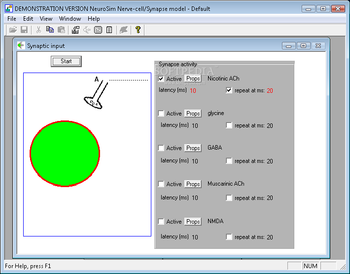 NeuroSim screenshot 7