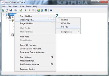 NGSSQuirreL for Oracle screenshot 2