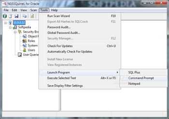 NGSSQuirreL for Oracle screenshot 4