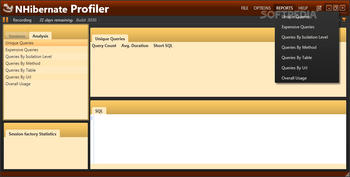 NHibernate Profiler screenshot 4