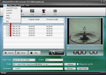 Nidesoft DVD to AVI Converter screenshot 3