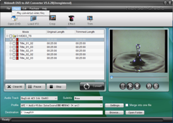 Nidesoft DVD to AVI Converter screenshot 4