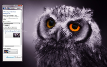 Night Owl screenshot
