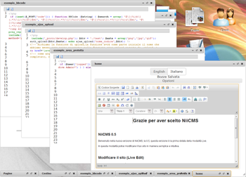 NiiCMS screenshot