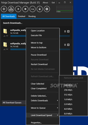 Ninja Download Manager screenshot 2