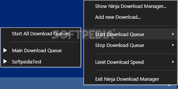 Ninja Download Manager screenshot 5