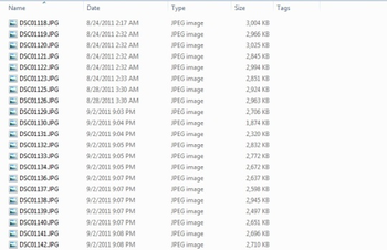 niZER screenshot