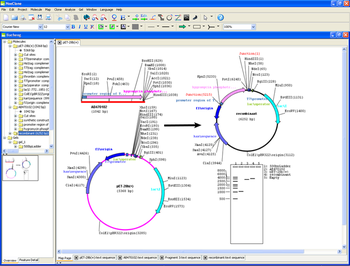 NoeClone Advanced Edition screenshot