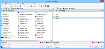 Nomad.NET screenshot