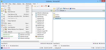 Nomad.NET screenshot 3