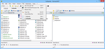 Nomad.NET screenshot 7