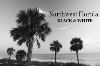 Northwest Florida's Gulf Coast Black & White Screen Saver screenshot