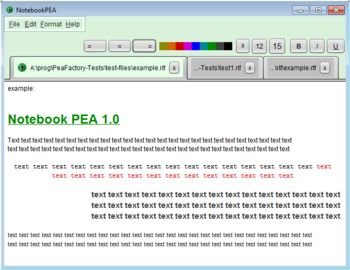 Notebook PEA screenshot