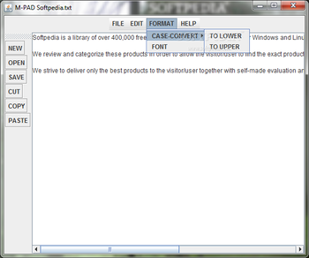 NOTEPAD screenshot 2