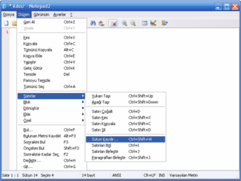 Notepad2 Turkce screenshot