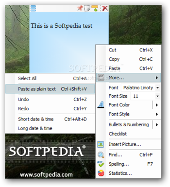 Notezilla Portable screenshot